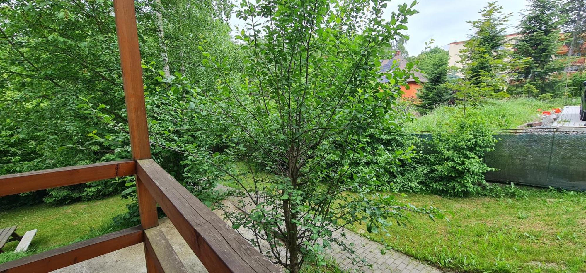 Apartmany Orlova Exterior photo